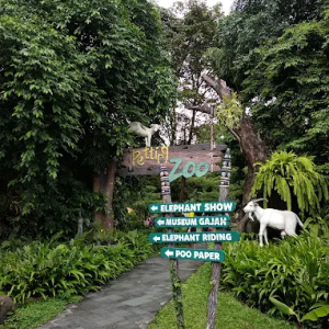 Varuna Regular underwater theatrical show at Bali Safari