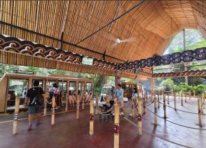 Bali Safari Sea Dragon Ticket – promo price and instant booking